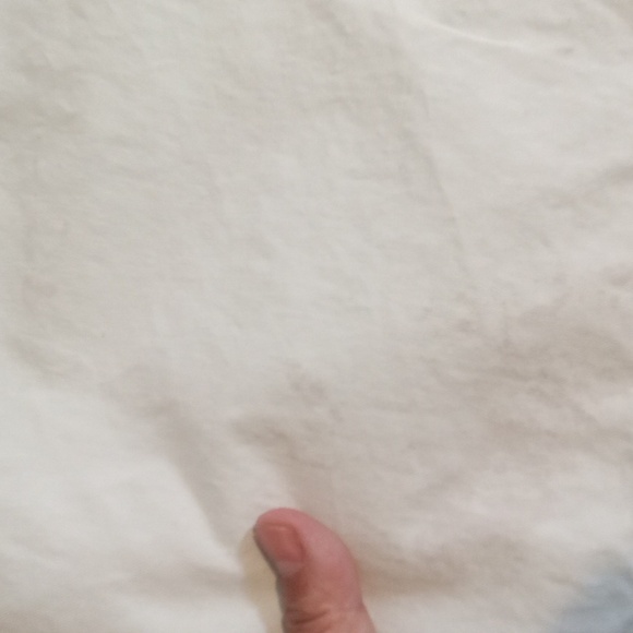 Everlane Mint Green Wide Leg High Waisted Pleated Womens Pants (Flawed) Size 10 - Picture 8 of 13